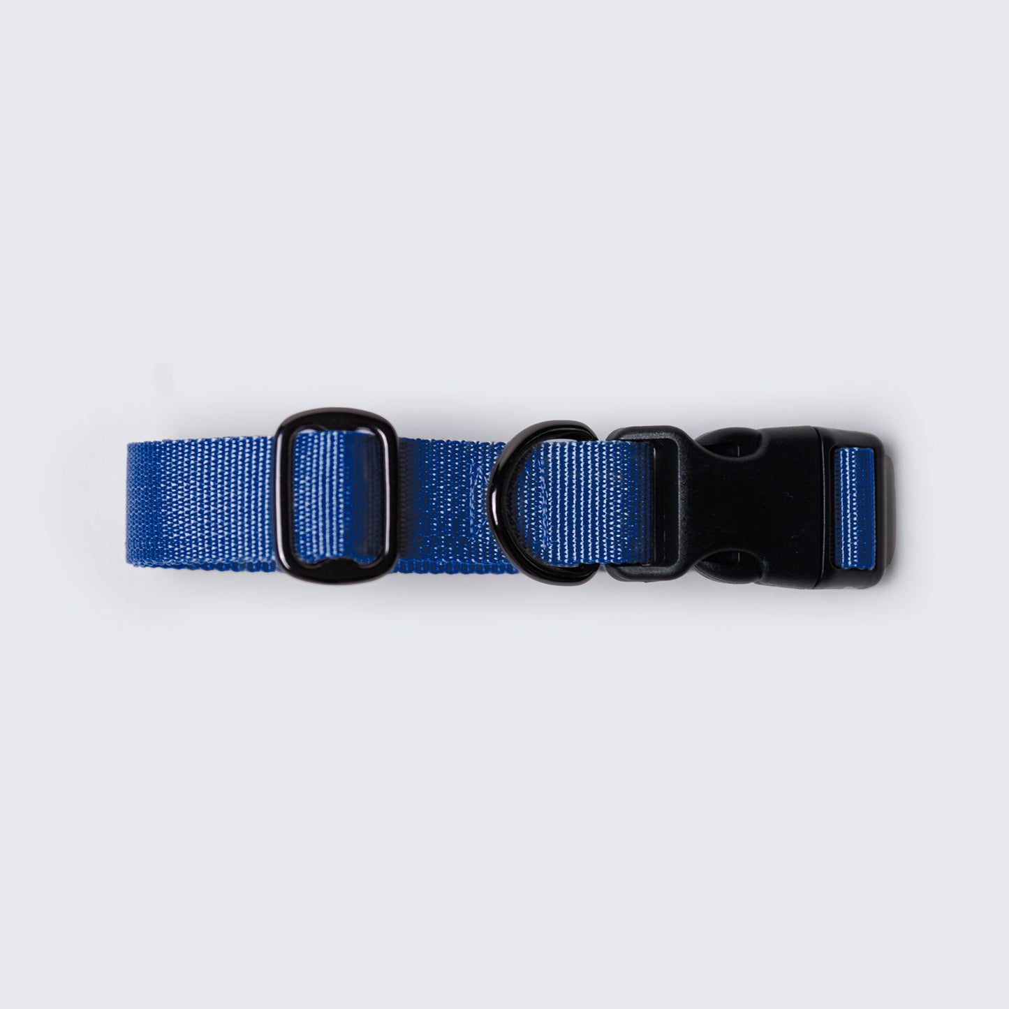 Daily Woof Collar Cobalt Blue