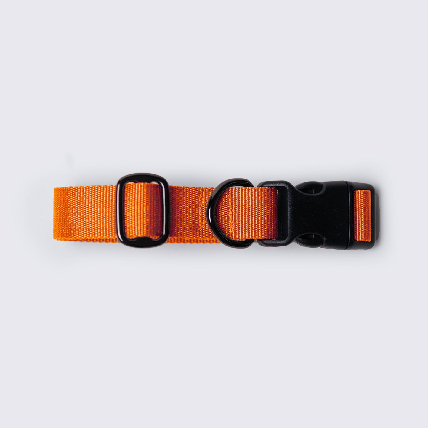 Daily Woof Collar Orange