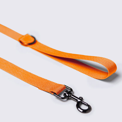 Daily Woof - Leash - Orange