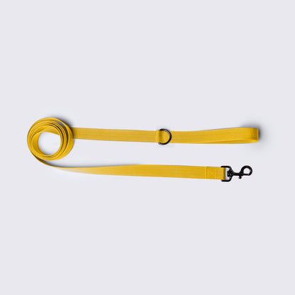 Daily Woof - Leash - Yellow